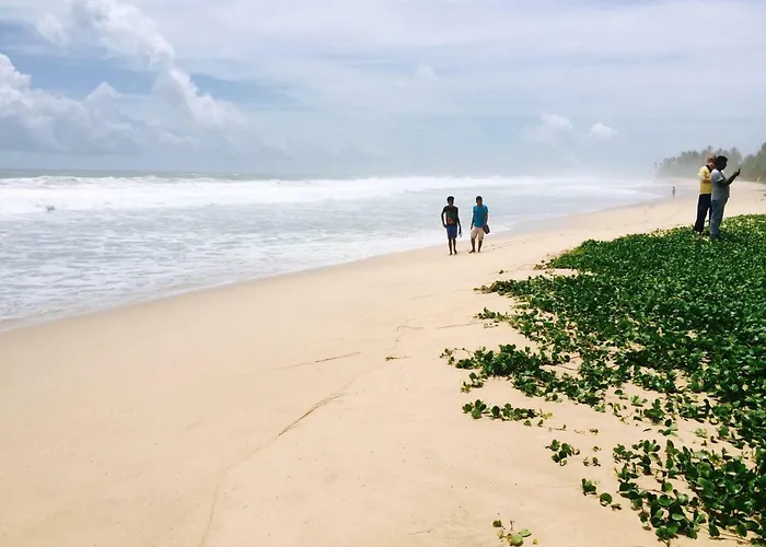 Orchard House Galle
